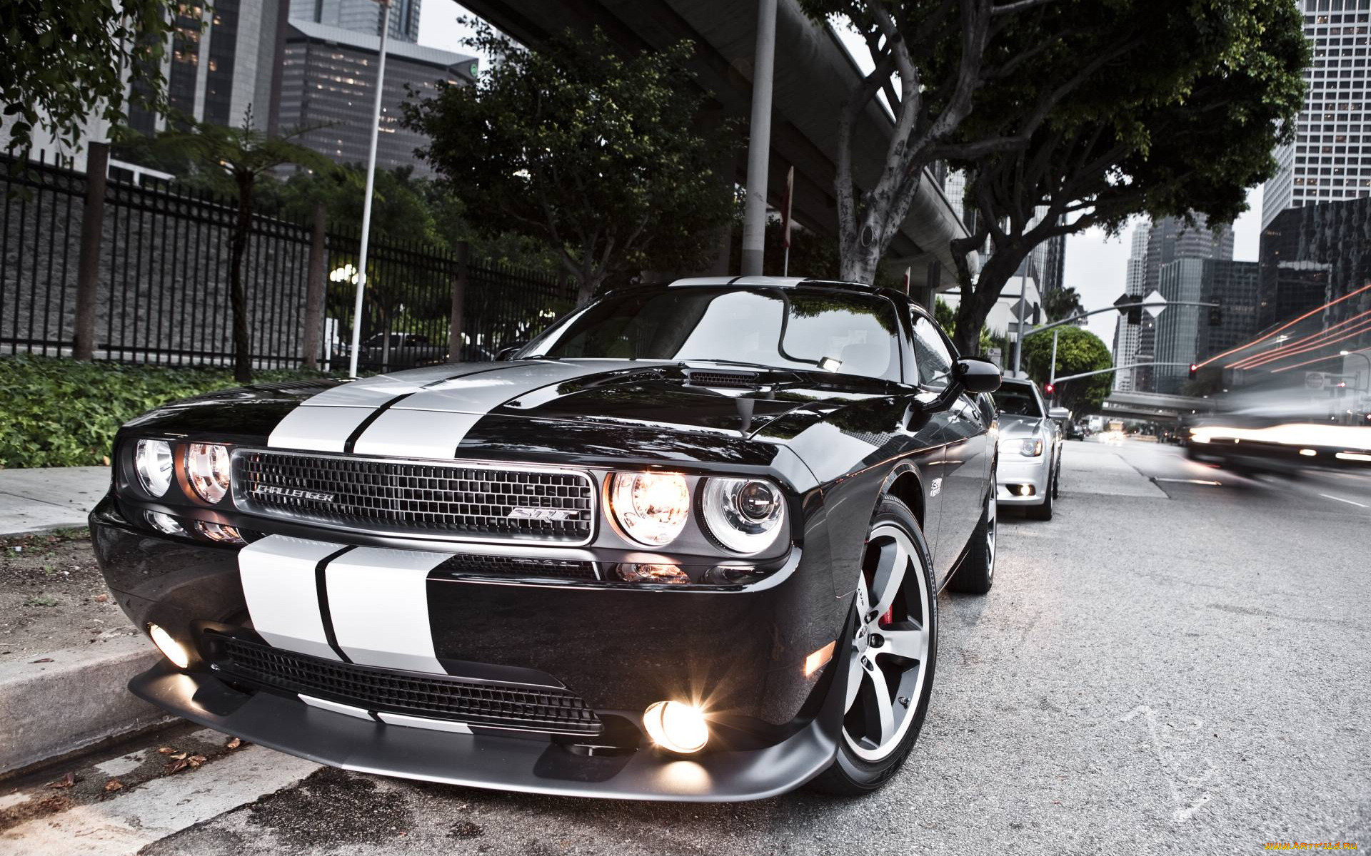 , dodge